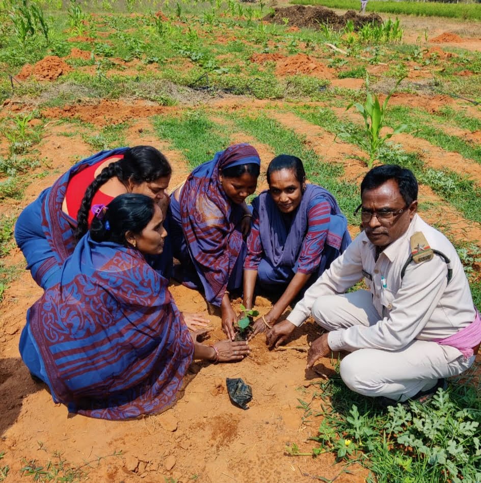 बैहामुड़ा में 5 सौ पौधे लगाकर मनाया विश्व वानिकी दिवस 3 IMG 20230321 153555