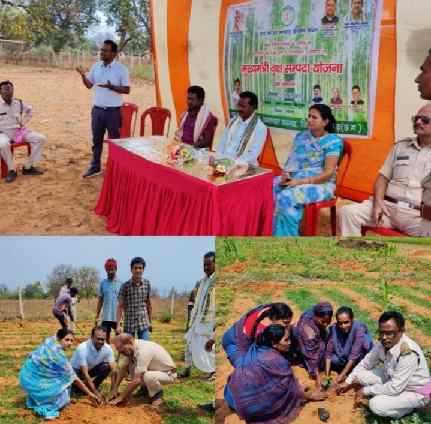 बैहामुड़ा में 5 सौ पौधे लगाकर मनाया विश्व वानिकी दिवस 1 IMG 20230321 165412