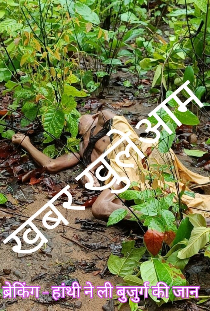 Picsart 23 06 28 10 26 43 735