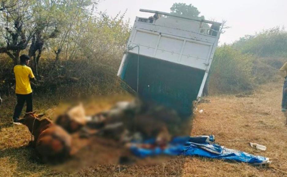 जिले में गो तस्करी आम बात , तस्करों का बुलंद हौसले से स्थानीय प्रशासन की भूमिका पर उठ रहे सवाल ! 1 IMG 20240109 WA0192