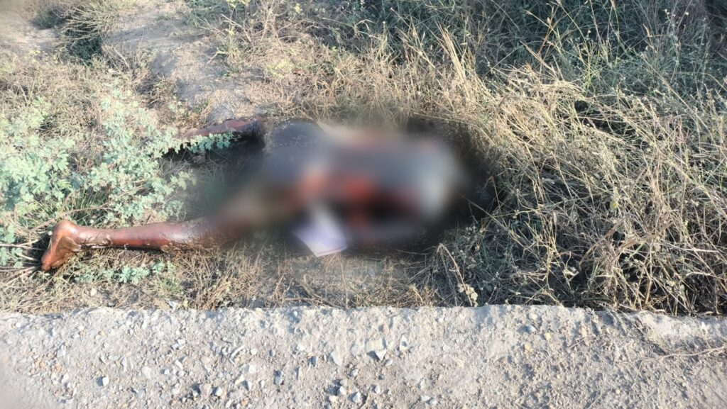 भेंडरा नाले के पास नग्न अवस्था मे अज्ञात युवक की मिली लाश , पुलिस के साथ फोरेंसिक टीम भी मौके पर पहुँच कर जाँच में जुटी 1 PicsArt 02 23 08.42.54