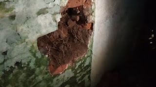 Screenshot 2024 03 03 07 45 31 420 com.whatsapp edit