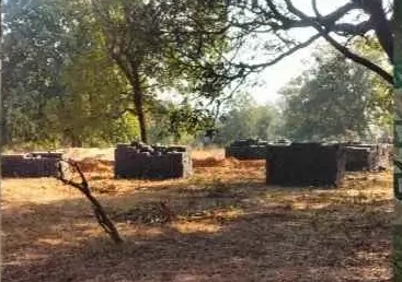 IMG 20230207 1516322