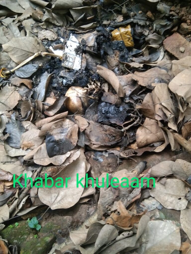 IMG 20240716 WA00462