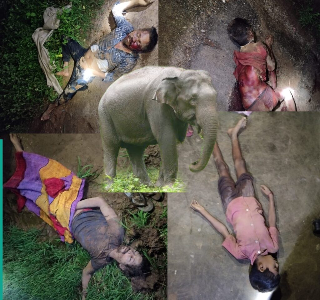 Picsart 24 08 10 09 06 27 788