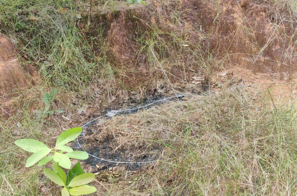 3 हांथी कि मौत से वन विभाग में मचा हड़कंप , DFO सहित वन अमला मौके पर मौजूद , पर्यावरण समिति के ब्लाक अध्यक्ष ने.... 2 1001122425
