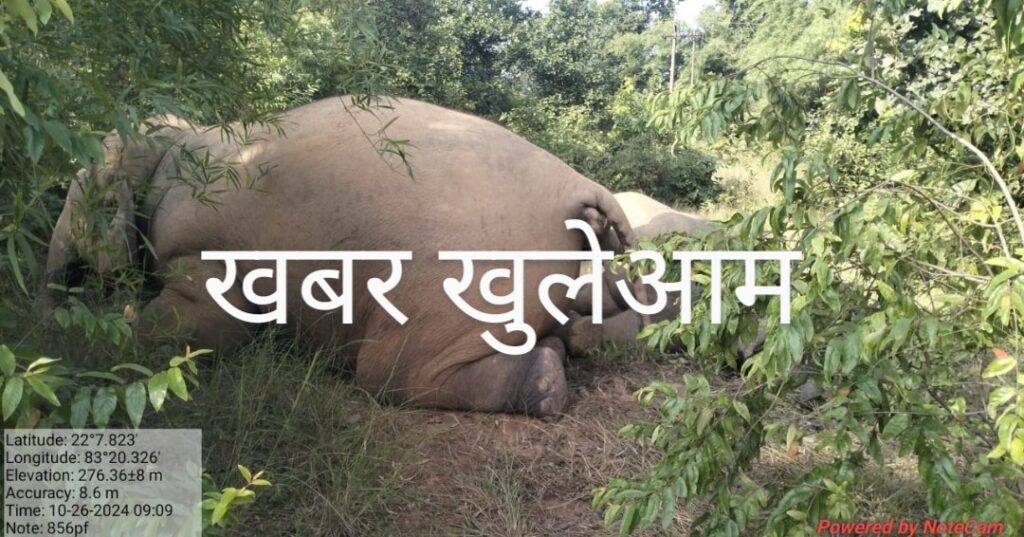 Screenshot 2024 10 26 09 47 22 20 6012fa4d4ddec268fc5c7112cbb265e72