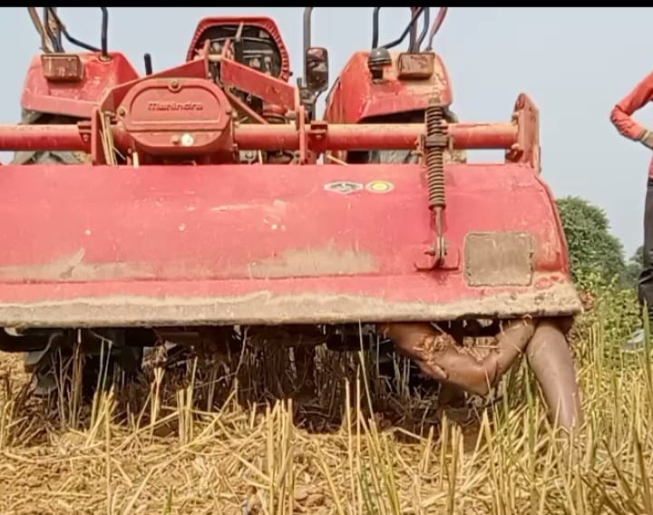 IMG 20241110 WA00192