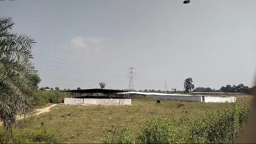 IMG 20241118 WA0016
