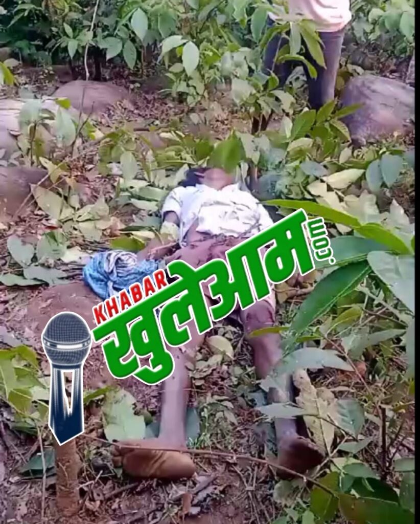 Picsart 24 11 09 13 18 10 327