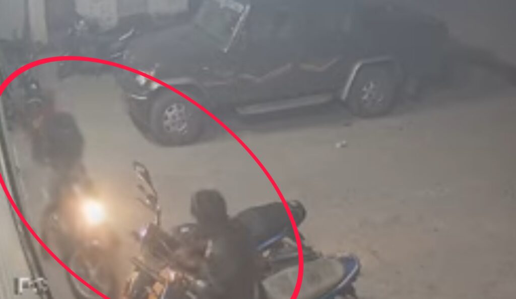 Picsart 24 11 22 14 25 19 767