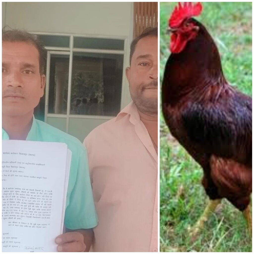 Picsart 24 11 30 20 43 35 775