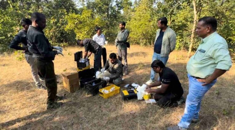 घायल हाथी के इलाज के लिए रायपुर से पहुची डाक्टरों की टीम 1 IMG 20241220 WA0044