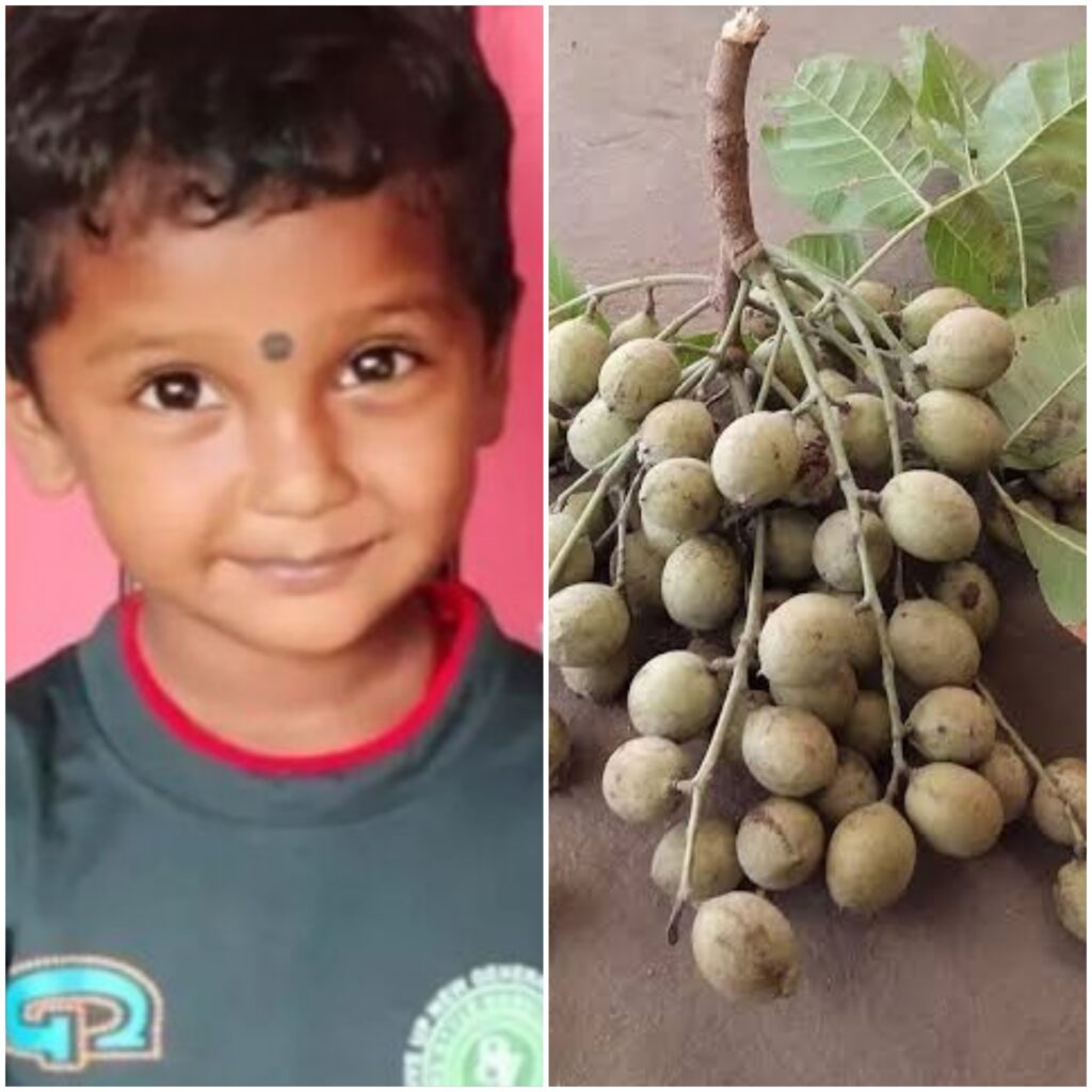 Picsart 24 12 24 16 15 48 827