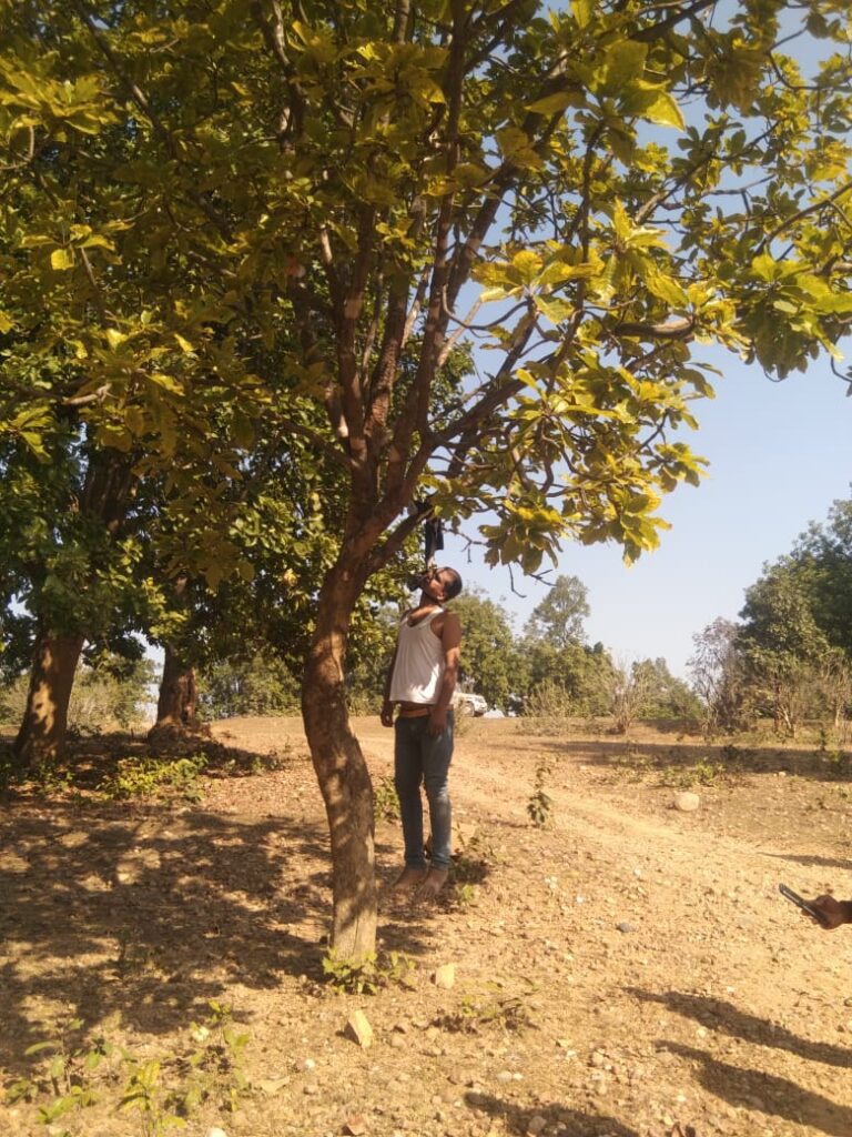 IMG 20250110 WA0015