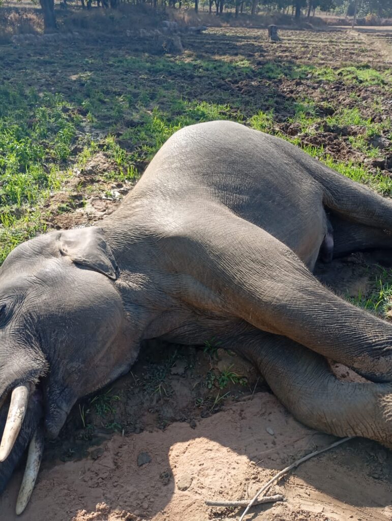 IMG 20250121 WA0022 1