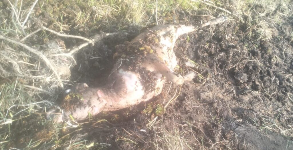 IMG 20250129 WA00262