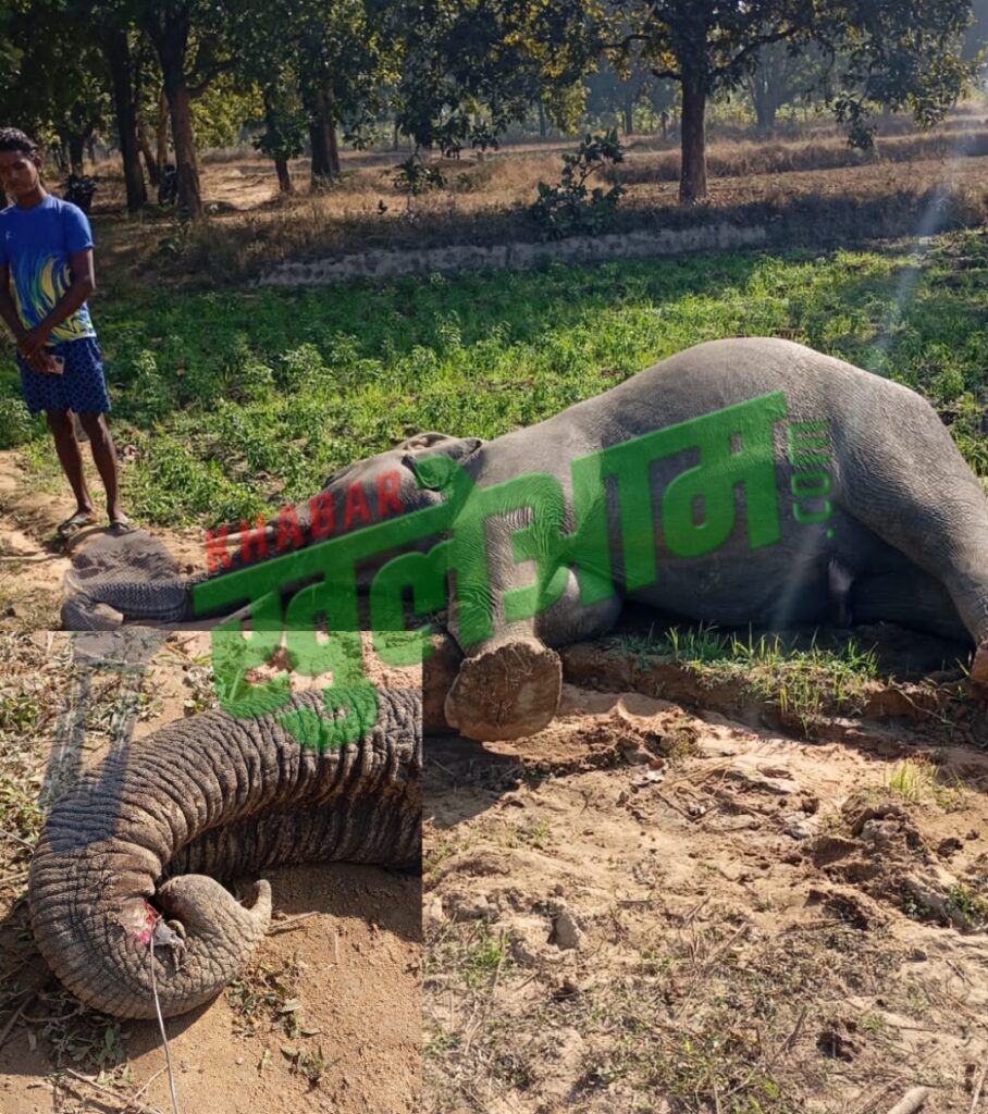 Picsart 25 01 21 11 28 19 836