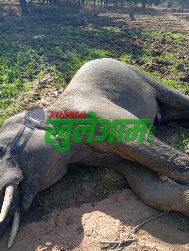 Picsart 25 01 21 11 29 30 778