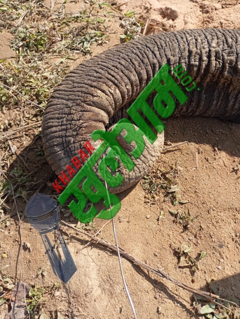 Picsart 25 01 21 11 40 25 235