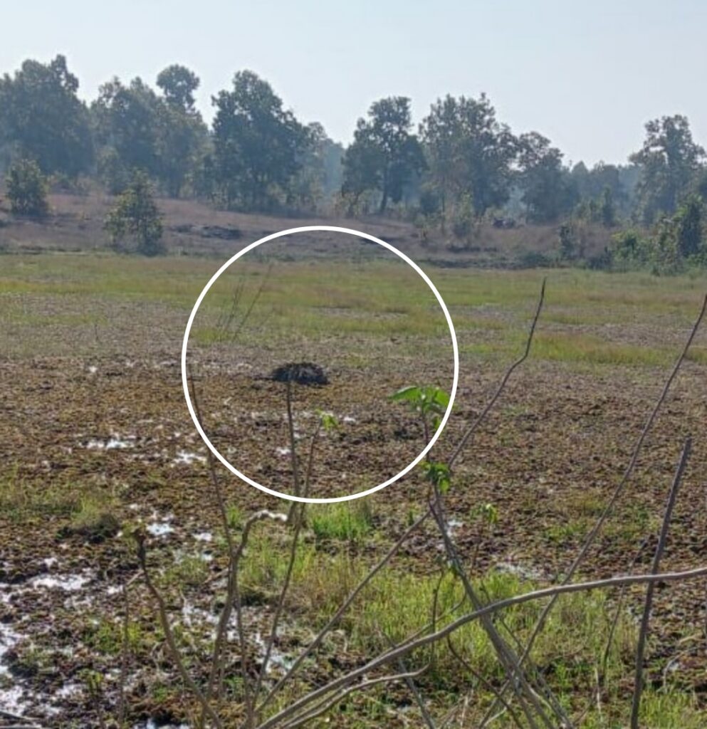 Picsart 25 01 22 09 59 59 507 3