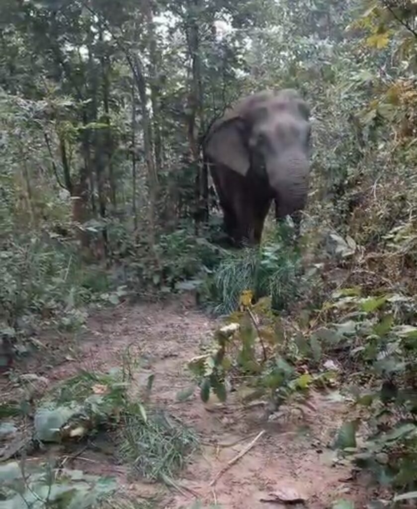 Screenshot 2025 01 19 19 01 33 51 6012fa4d4ddec268fc5c7112cbb265e7