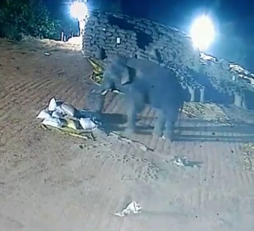 Screenshot 2025 01 28 14 47 37 94 6012fa4d4ddec268fc5c7112cbb265e7