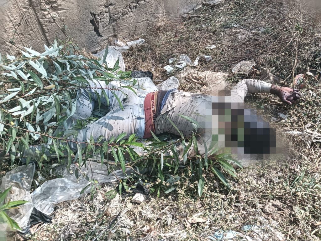 Picsart 25 02 18 19 30 46 786