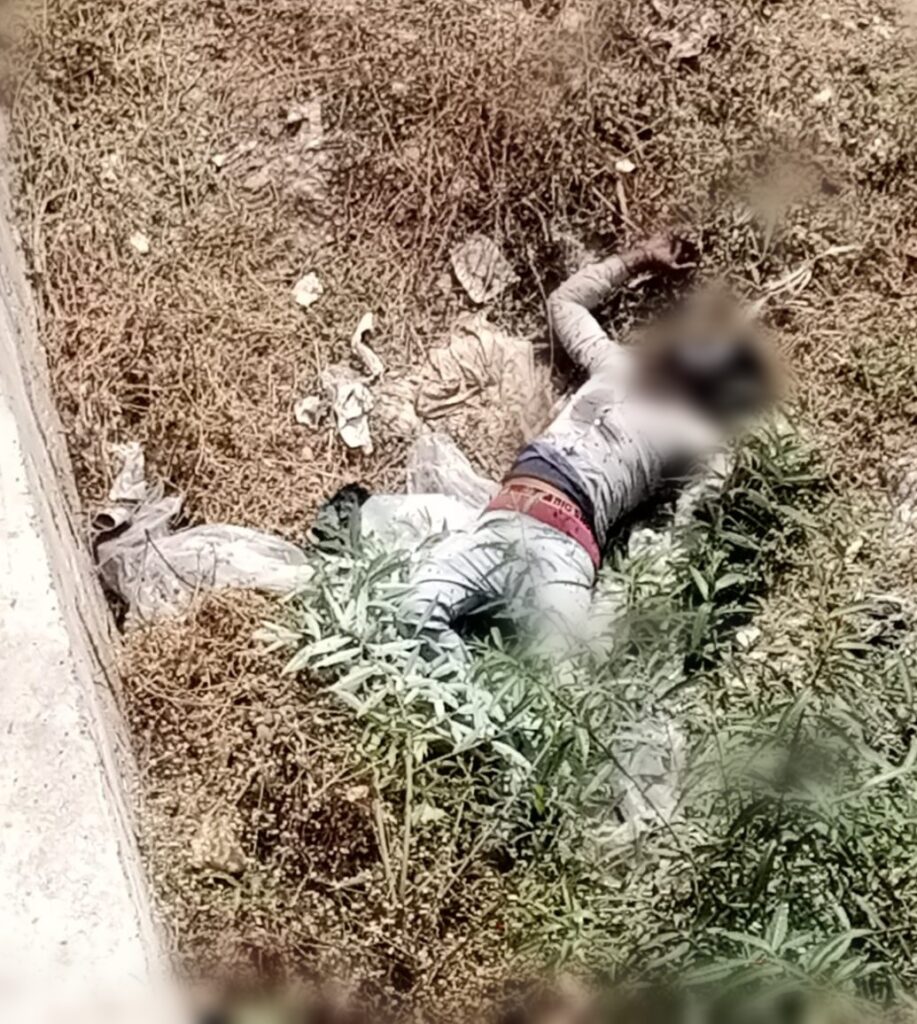 Picsart 25 02 18 19 31 30 731