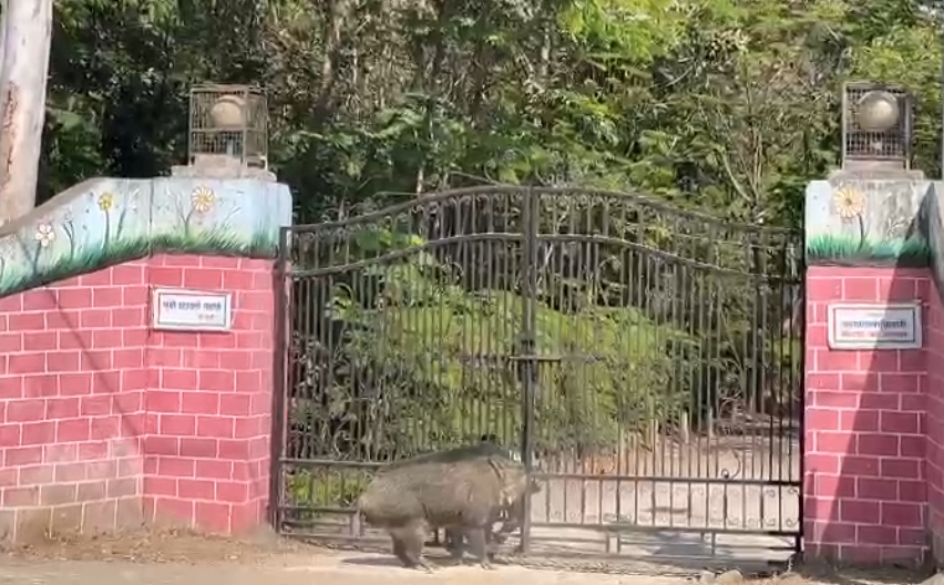 Screenshot 2025 02 28 15 08 32 65 6012fa4d4ddec268fc5c7112cbb265e7