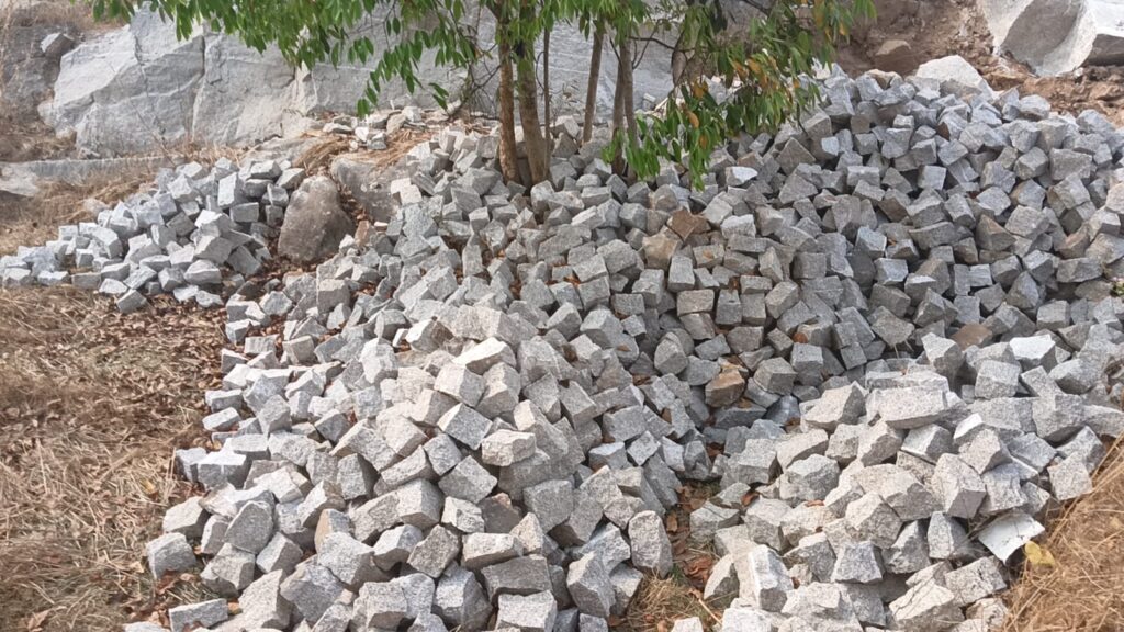 IMG 20250302 WA0025