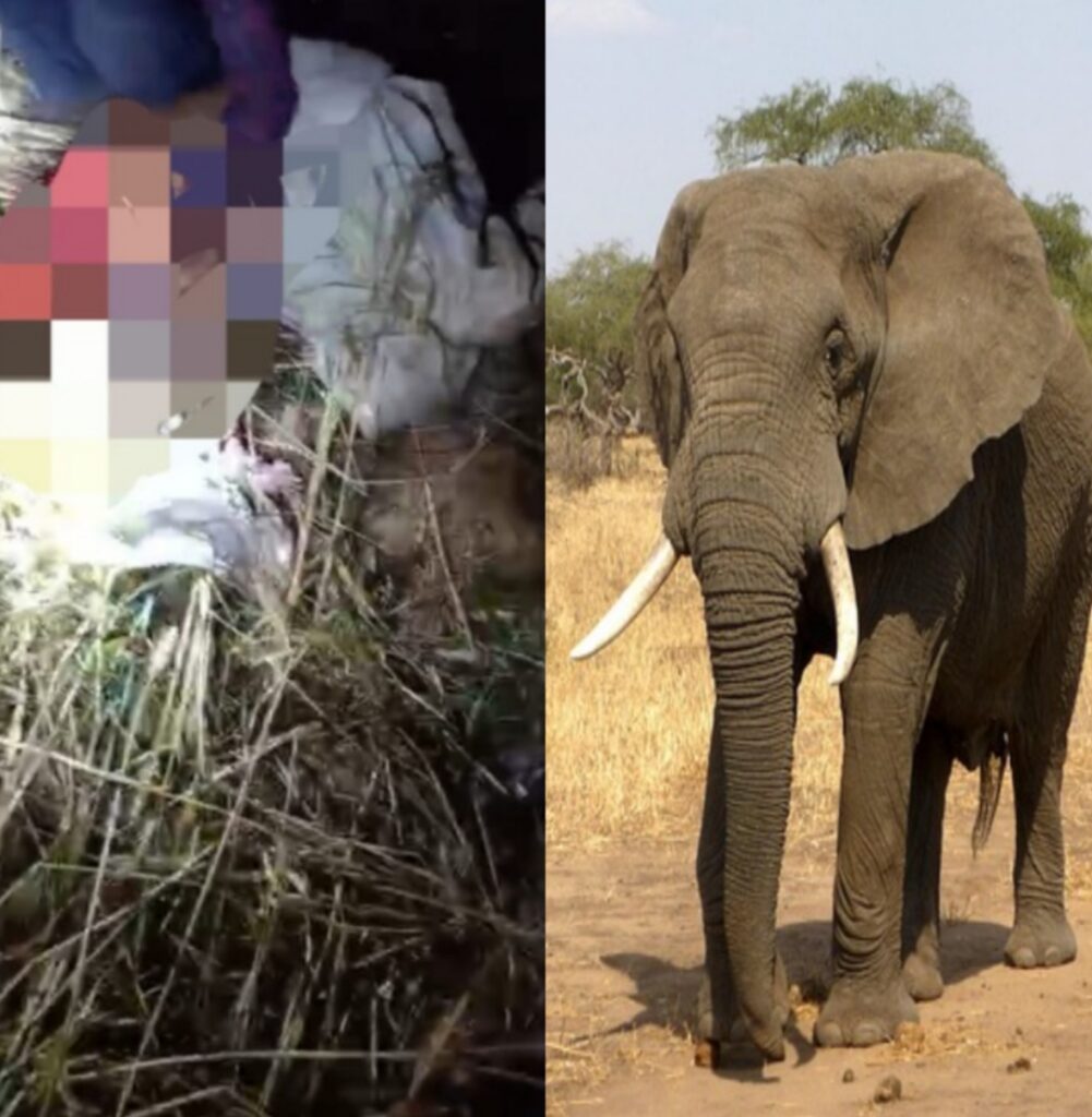 Picsart 25 04 01 10 42 49 722