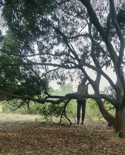 IMG 20250517 WA00792