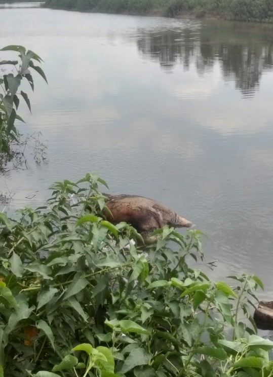 IMG 20250525 WA00322