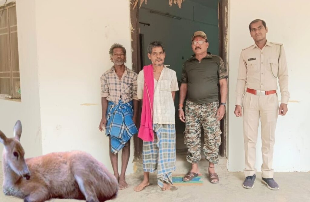 Screenshot 2025 05 09 16 16 59 80 965bbf4d18d205f782c6b8409c5773a42