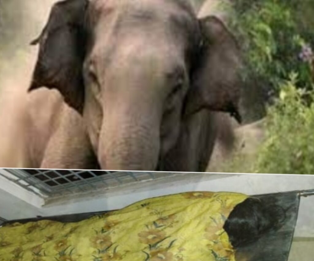 Screenshot 2025 05 11 09 09 57 41 965bbf4d18d205f782c6b8409c5773a4