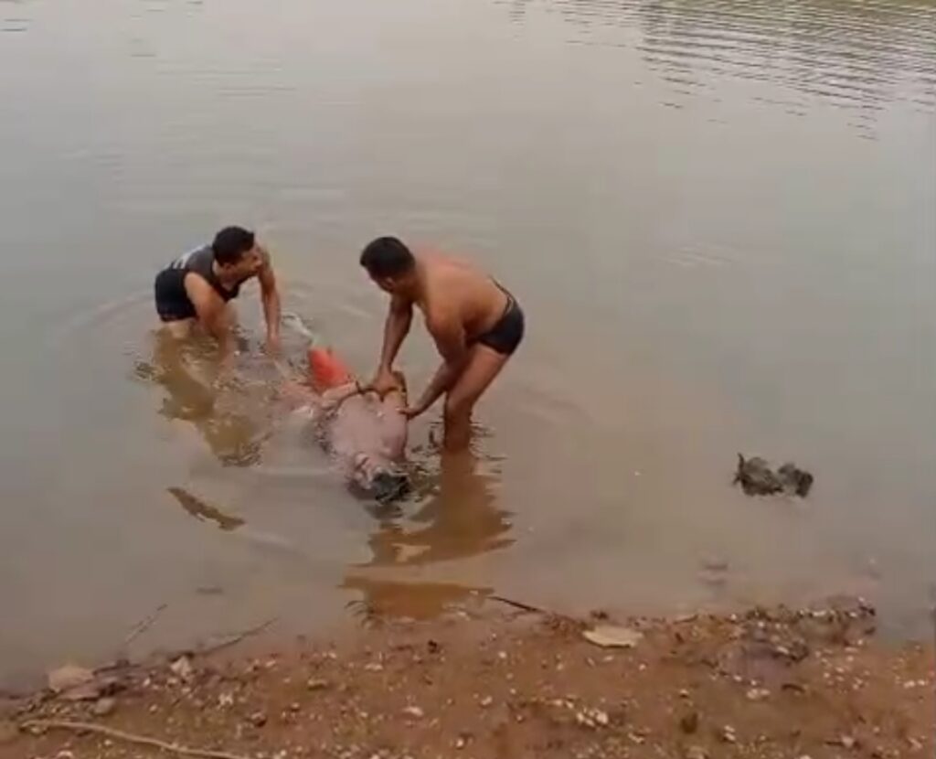 Screenshot 2025 05 14 17 35 46 56 6012fa4d4ddec268fc5c7112cbb265e7