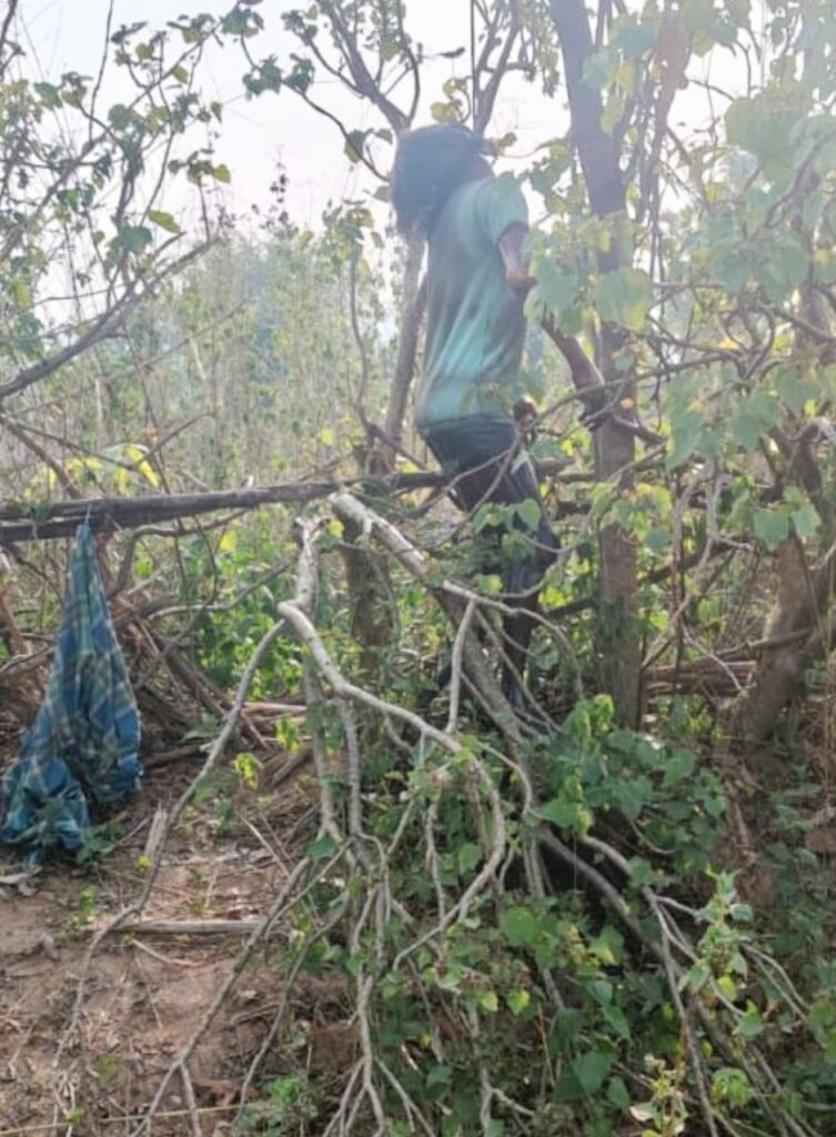 Screenshot 2025 05 15 09 41 01 72 965bbf4d18d205f782c6b8409c5773a42