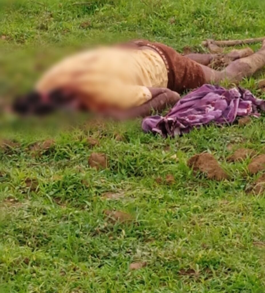 Screenshot 2025 06 17 22 10 14 82 965bbf4d18d205f782c6b8409c5773a4