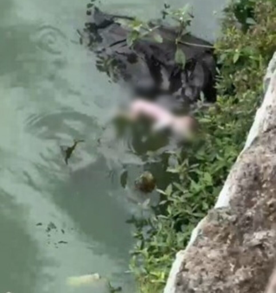 Screenshot 2025 06 29 16 38 25 46 3a637037d35f95c5dbcdcc75e697ce91