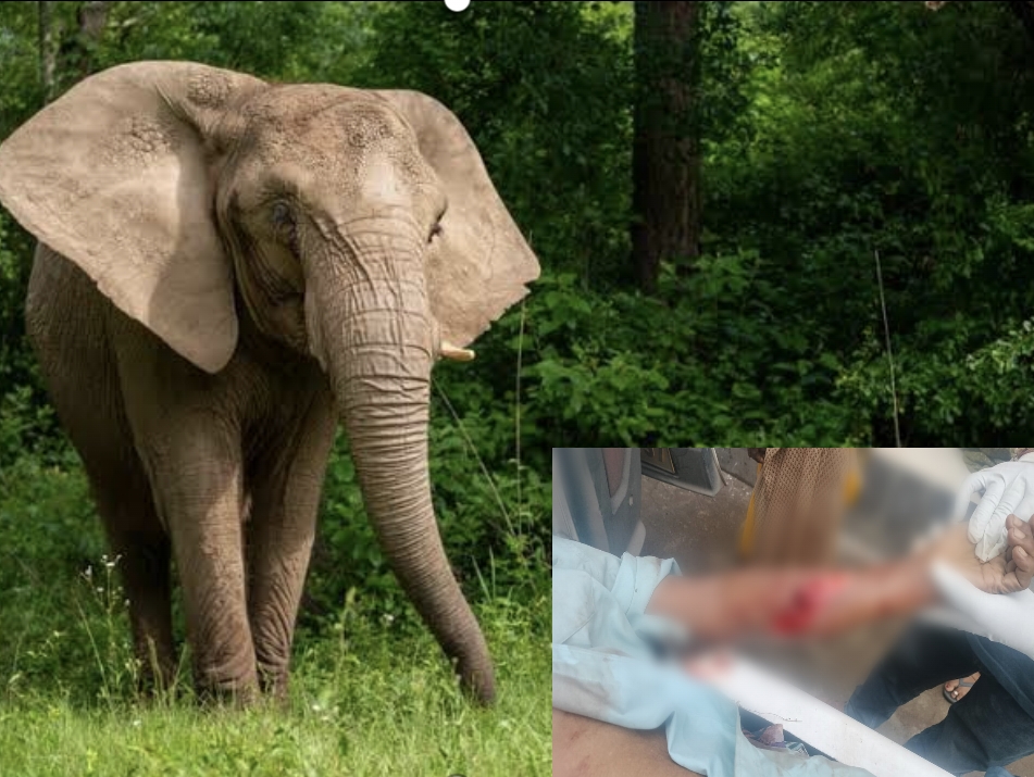 Screenshot 2025 07 14 08 13 11 59 3a637037d35f95c5dbcdcc75e697ce91