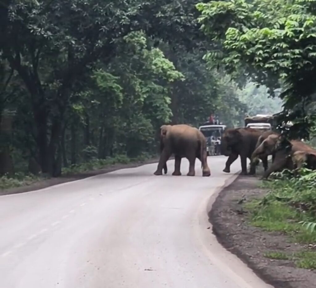 Screenshot 2025 07 14 16 33 03 96 6012fa4d4ddec268fc5c7112cbb265e7