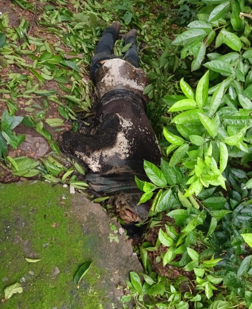 Screenshot 2025 07 22 18 21 21 73 6012fa4d4ddec268fc5c7112cbb265e7