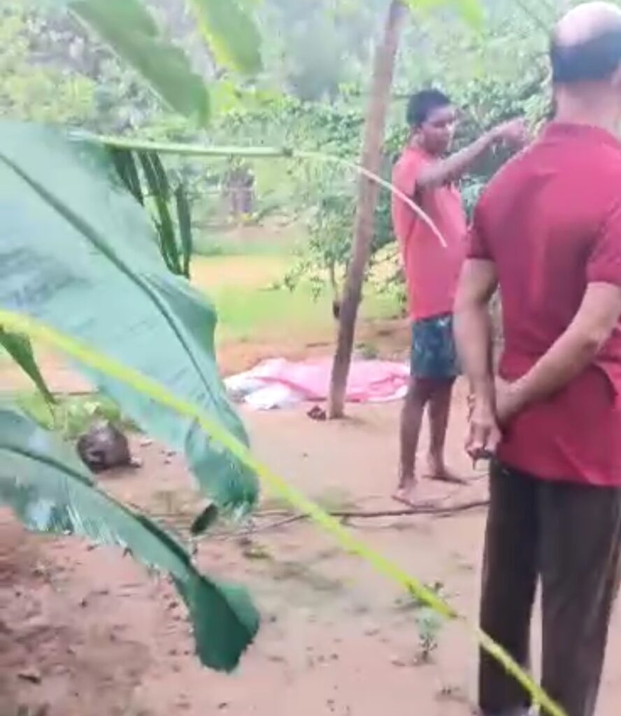 Screenshot 2025 07 23 07 44 54 35 6012fa4d4ddec268fc5c7112cbb265e7