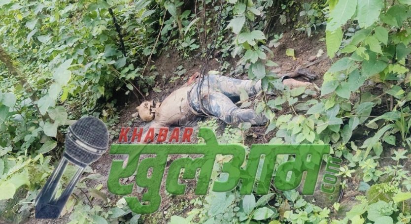 Screenshot 2025 07 30 19 41 09 89 3a637037d35f95c5dbcdcc75e697ce91