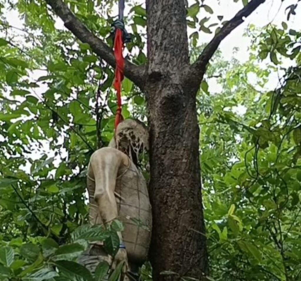 Screenshot 2025 08 24 14 02 55 68 40deb401b9ffe8e1df2f1cc5ba480b12