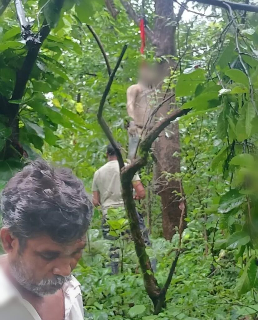 Screenshot 2025 08 24 14 11 48 00 c4fd2d9123964b708a8cf07cacc6469d