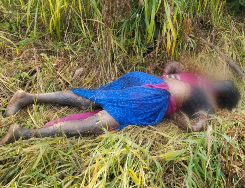 Screenshot 2025 10 25 13 38 56 91 40deb401b9ffe8e1df2f1cc5ba480b12