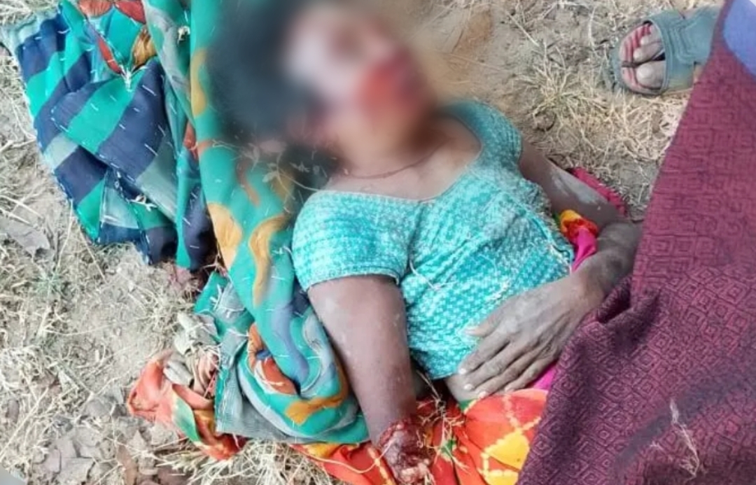 ग्रामीण को हाथी ने उतारा मौत के घाट .. दो दिनों में तीन मौत .. वन विभाग पर गंभीर आरोप 3 Screenshot 2025 12 19 11 03 14 32 3a637037d35f95c5dbcdcc75e697ce91