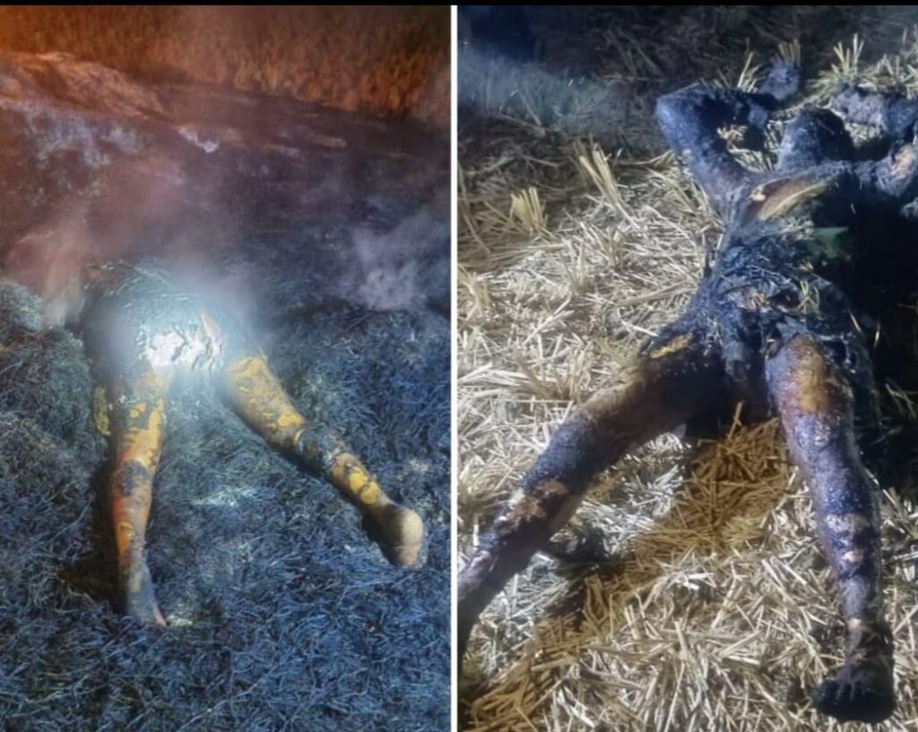 तालाब के पास .. पैरावट में मिला अधजला लाश .. आत्महत्या या हत्या .. जांच में जुटी पुलिस 2 1676994